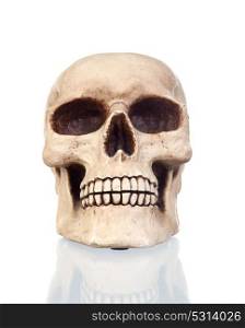 Creepy skull isolated on white background with reflection