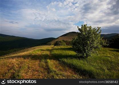 Crimean mountain