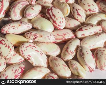 crimson beans variety of common bean (Phaseolus vulgaris) aka borlotti beans or cranberry beans legumes vegetables vegetarian food. crimson beans legumes vegetables food