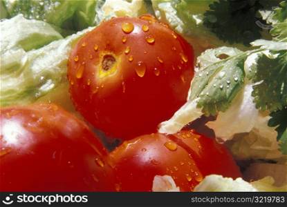 Crisp Wet Vegetables