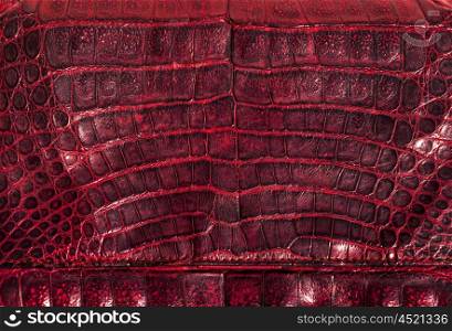 Crocodile genuine leather background