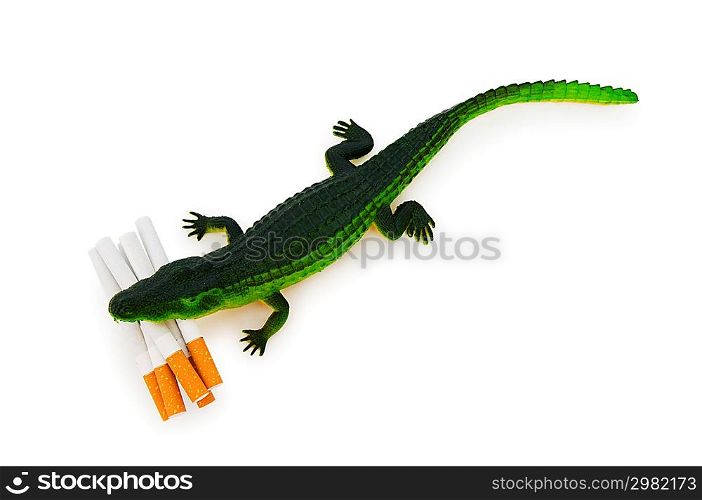 Crocodile with cigarettes isolated on white