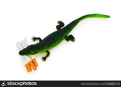 Crocodile with cigarettes isolated on white