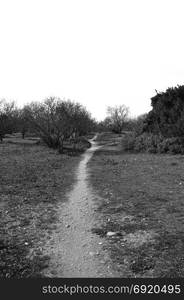 Crooked trail footpath through park. Black and white.