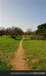 Crooked trail footpath through park. Green grass and blue sky landscape.