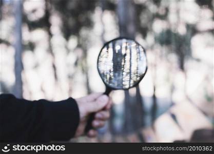 crop hand holding magnifying glass forest