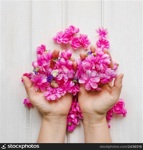 crop hands with pink flowers