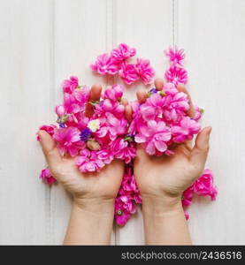 crop hands with pink flowers