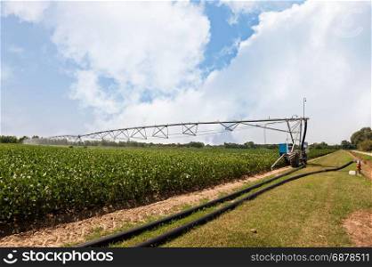 Crop Irrigation using the center pivot sprinkler system, soybean field.