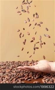 Crop male hand tossing pile of raw unpeeled cocoa beans in air on light brown background. Handful of organic raw beans of cocoa