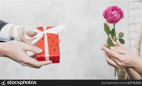 crop man giving gift woman with rose