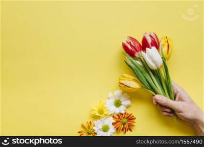 crop person holding pile tulips