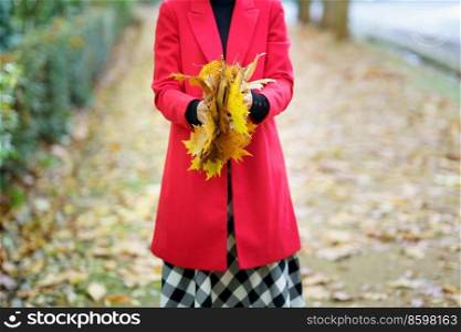 Crop unrecognizable female wearing red coat standing with dried yellow maple leaves on street in autumn day. Elegant woman with bunch of yellow leaves