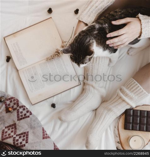 crop woman petting cat near book chocolate