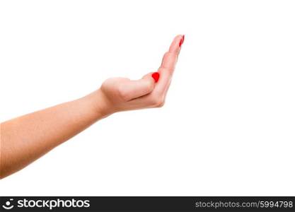 Cropped image of a female hand waiting for something