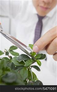 Cropped image of Asian businessman pruning plant
