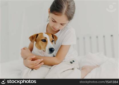 Cropped image of caring little girl in white t shirt, cuddles small pedigree dog, expresses big love to animal, poses on bed in white room, enjoys domestic atmosphere. Child with favourite pet