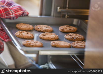 Cropped image of hand removing cookie tray from oven in kitchen