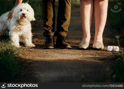 Cropped image of romantic couple is on a walk in the park with their dog. Beautiful young woman and handsome man are having fun outdoors with white fun dog. Cropped image of romantic couple is on a walk in the park with their dog. Beautiful young woman and handsome man are having fun outdoors with white fun dog.