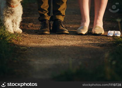 Cropped image of romantic couple is on a walk in the park with their dog. Beautiful young woman and handsome man are having fun outdoors with white fun dog.