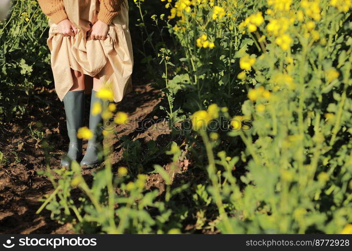 cropped photo of woman legs in rubber boots in rape yellow Field. rapeseed plantation. Canola Field. Girl In Field. High quality photo.. cropped photo of woman legs in rubber boots in rape yellow Field. rapeseed plantation. Canola Field. Girl In Field. High quality photo