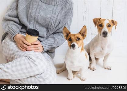 Cropped shot of unrecognizable female in knitted warm sweater, holds takeaway coffee, sits near her favourite two dogs, who look directly into camera. Wonderful pets pose, have good relations