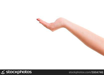Cropped view of a hand cupped over a white background
