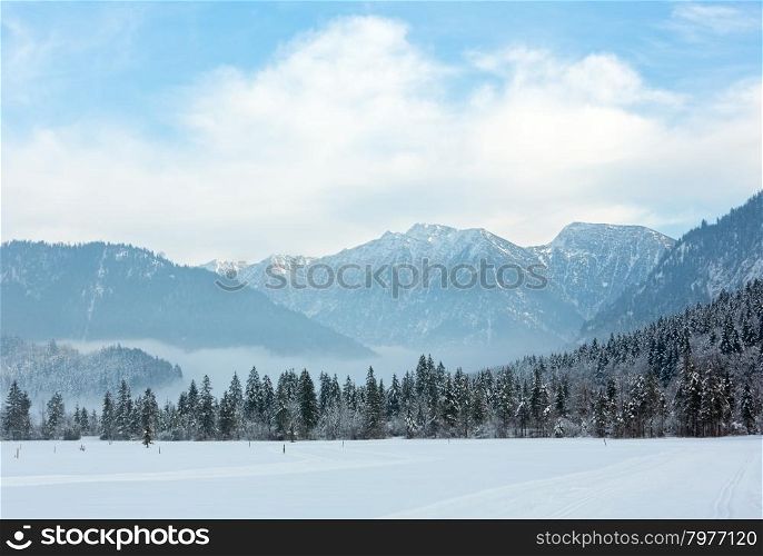 Cross country ski track and winter mountain landscape with snowy fir forest.