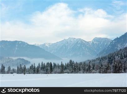 Cross country ski track and winter mountain landscape with snowy fir forest.