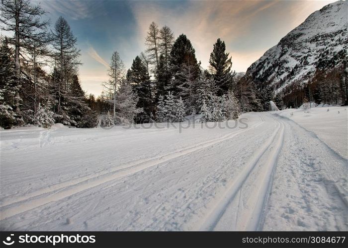 Cross-country ski trail in the Alps ski area.
