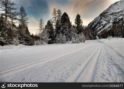 Cross-country ski trail in the Alps ski area.