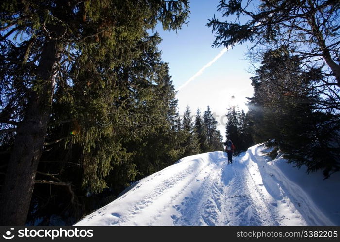 Cross Country skiing in the mountains