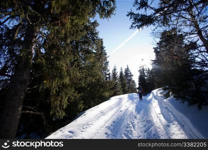 Cross Country skiing in the mountains