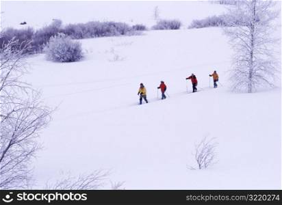 Cross Country Skiing in the Wilderness