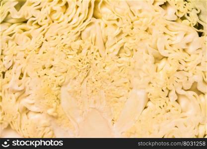 Cross section of a savoy cabbage. The cut surface of a savoy cabbage as a detailed background
