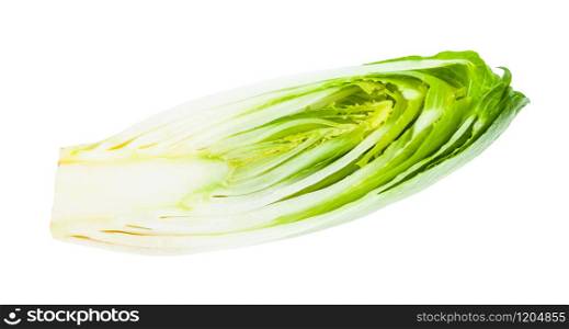 cross-section of Belgian endive (white Common chicory) isolated on white background. cross-section of Belgian endive (chicory) isolated