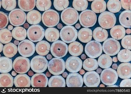 Cross section of the old timber background texture
