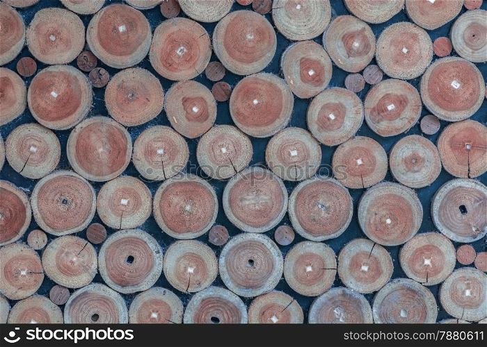 Cross section of the old timber background texture