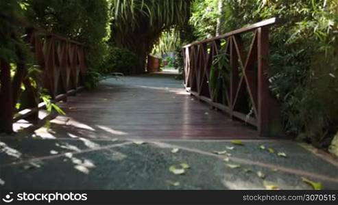 Crossing a wooden bridge under palm shed and path leading to the house