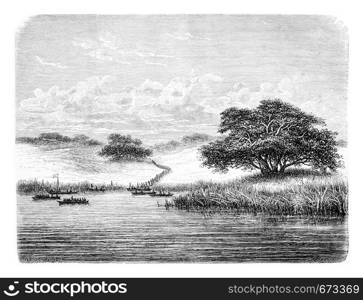 Crossing the Kwanza River, in Angola, Southern Africa, drawing by De Bar based on the English edition, vintage illustration. Le Tour du Monde, Travel Journal, 1881