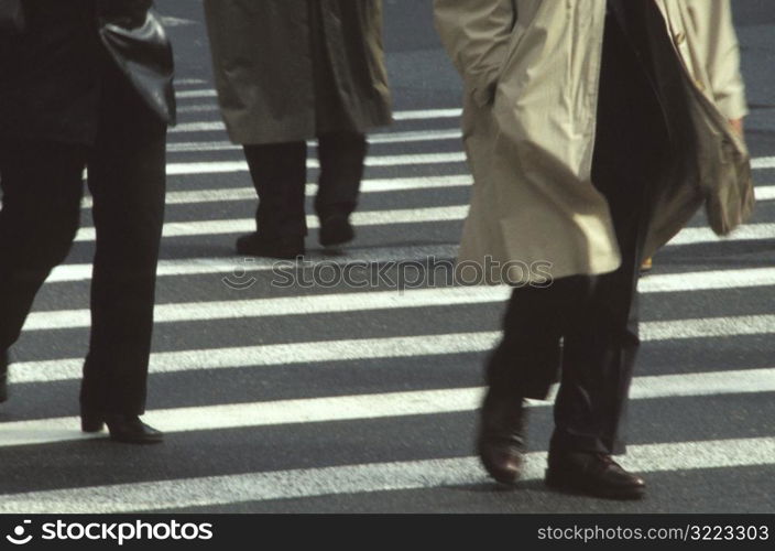 Crossing the Street