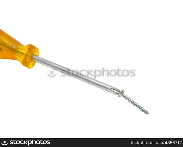 Crosstip screwdriver with screw