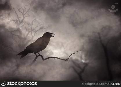 Crow or raven resting on a barren tree branch.