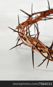 crown of thorns on white background