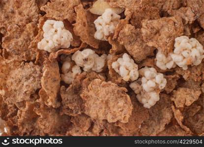 Crunchy breakfast cereals background with all sorts of nuts, food texture.