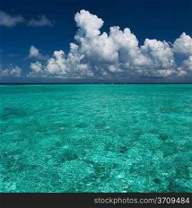 Crystal clear turquoise water at tropical maldivian beach