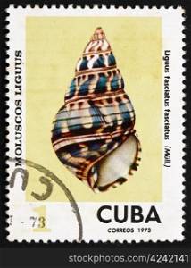 CUBA - CIRCA 1973: a stamp printed in the Cuba shows Liguus Fasciatus Fasciatus, Sea Shell, circa 1978