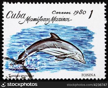 CUBA - CIRCA 1980: a stamp printed in the Cuba shows Bottlenose Dolphin, Tursiops Truncatus, Marine Mammal, circa 1980