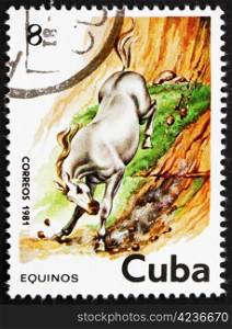 CUBA - CIRCA 1981: a stamp printed in the Cuba shows Horse, Equus Ferus Caballus, circa 1981