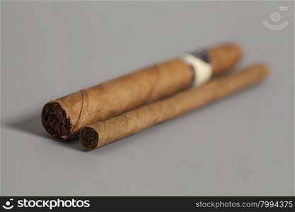 Cuban cigars on gray background